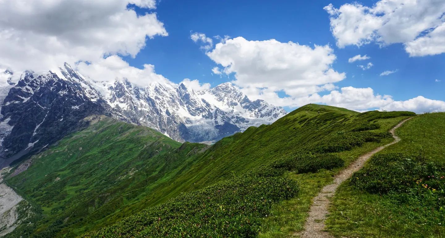 A photograph of the snowy wall of the Shkhara massif, viewed from the Chkhunderi viewpoint which is a green ridge with a well-trodden footpath running along it.